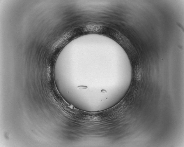 X0000102270735200808151904