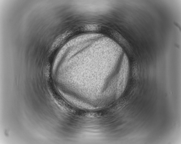 X0000102270736200808151904