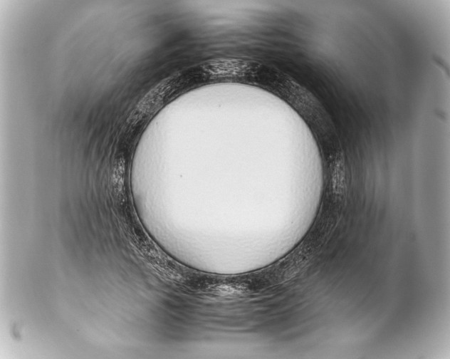 X0000102270737200808151904