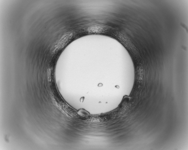 X0000102270738200808151904