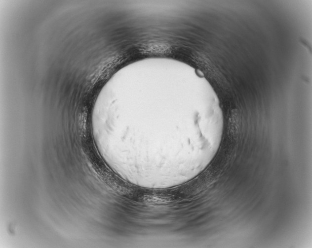 X0000102270739200808151904