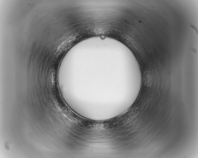 X0000102270740200808151904