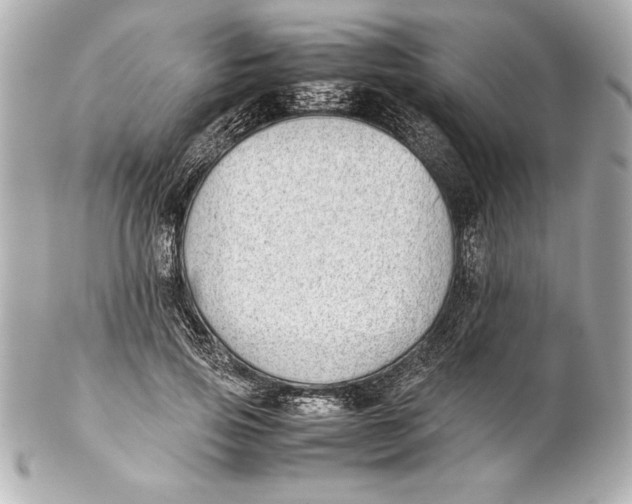 X0000102270741200808151904