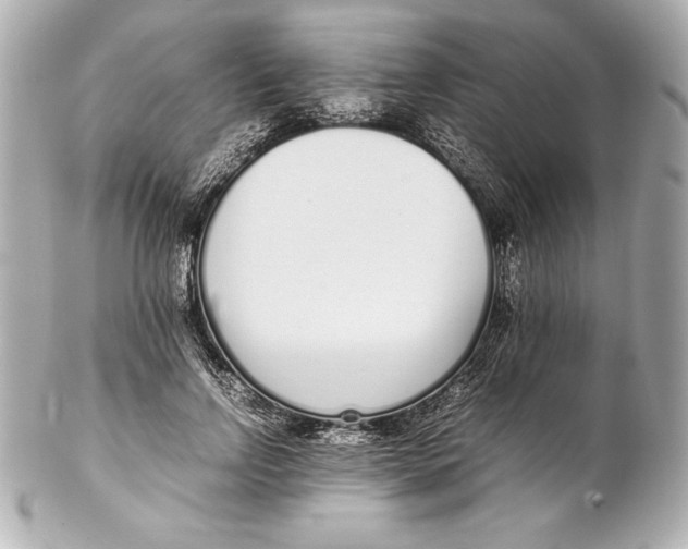 X0000102270742200808151904