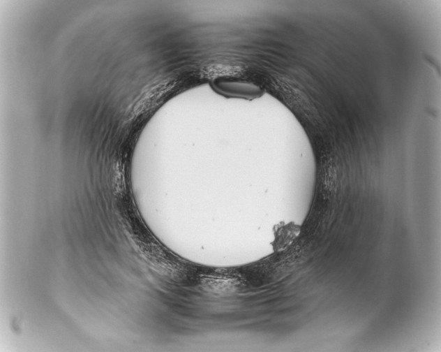 X0000102270743200808151904