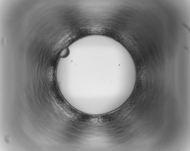 X0000102270744200808151904