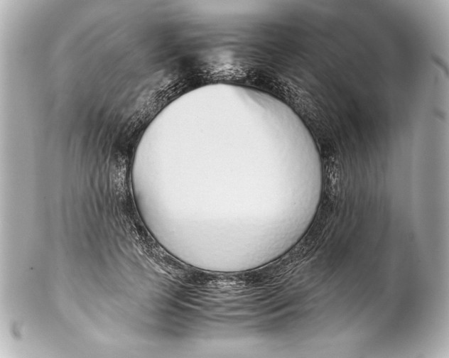 X0000102270745200808151904