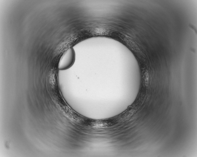 X0000102270746200808151904