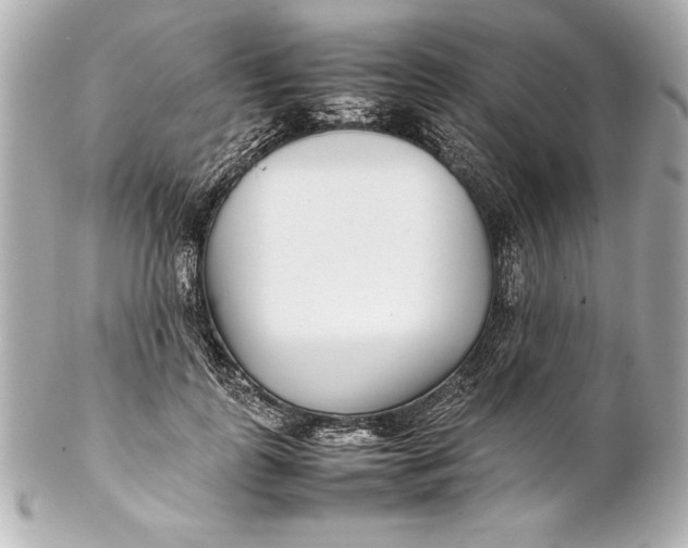 X0000102270747200808151904