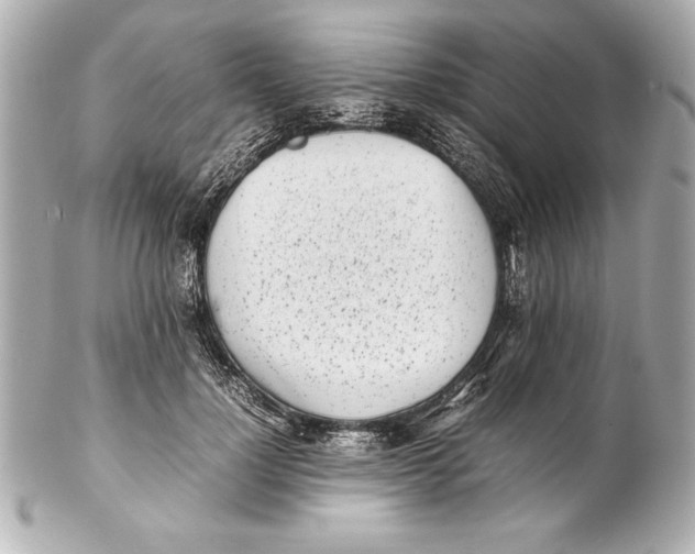 X0000102270748200808151904