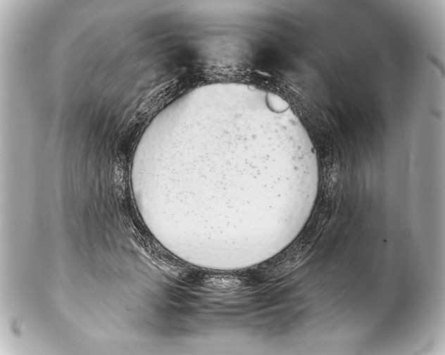 X0000102270749200808151904