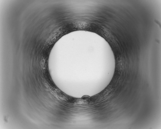 X0000102270750200808151904