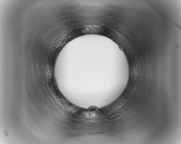 X0000102270751200808151904