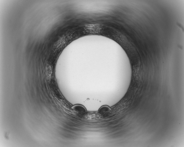 X0000102270752200808151904