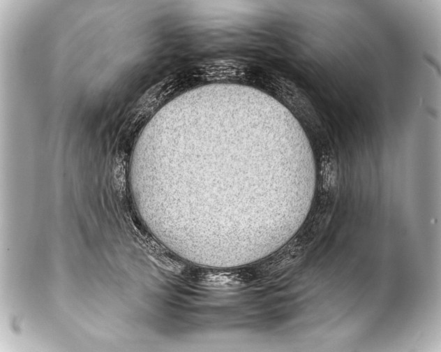 X0000102270753200808151904