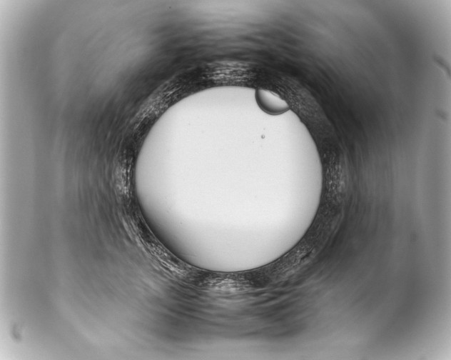 X0000102270755200808151904