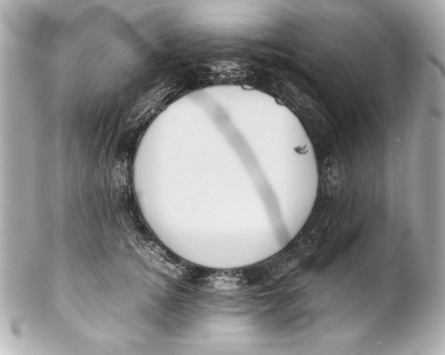 X0000102270756200808151904