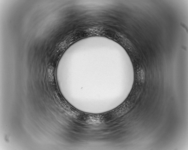 X0000102270757200808151904