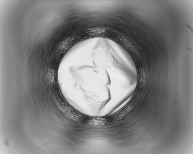 X0000102270758200808151904