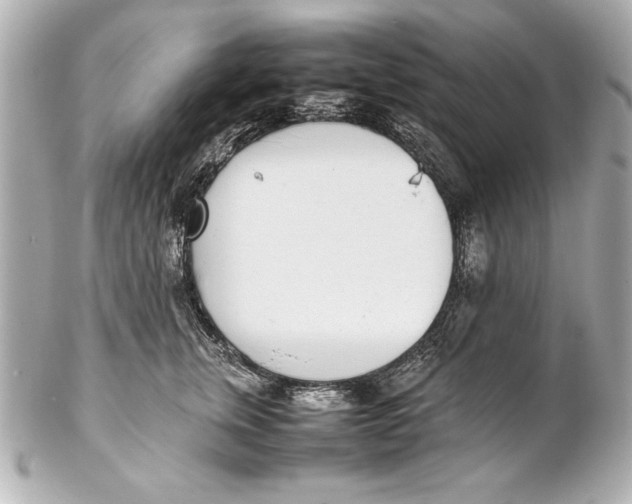 X0000102270759200808151904