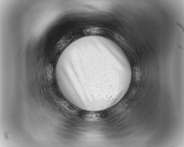 X0000102270760200808151904