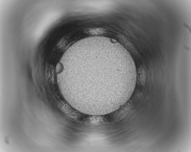 X0000102270762200808151904