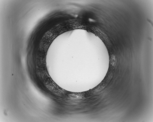 X0000102270763200808151904