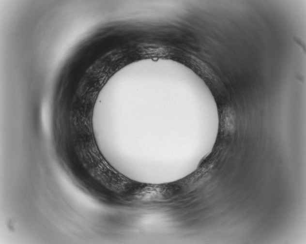 X0000102270764200808151904