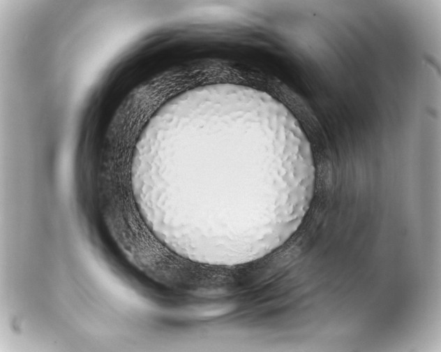 X0000102270765200808151904