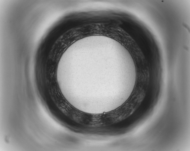 X0000102270766200808151904