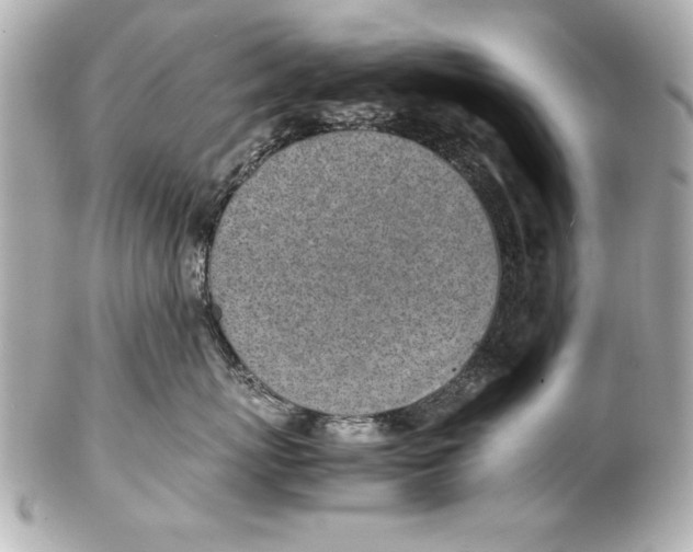 X0000102270767200808151904