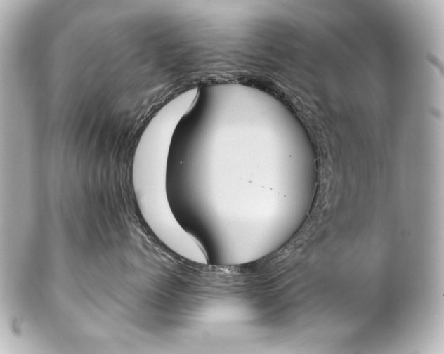 X0000102270768200808151904