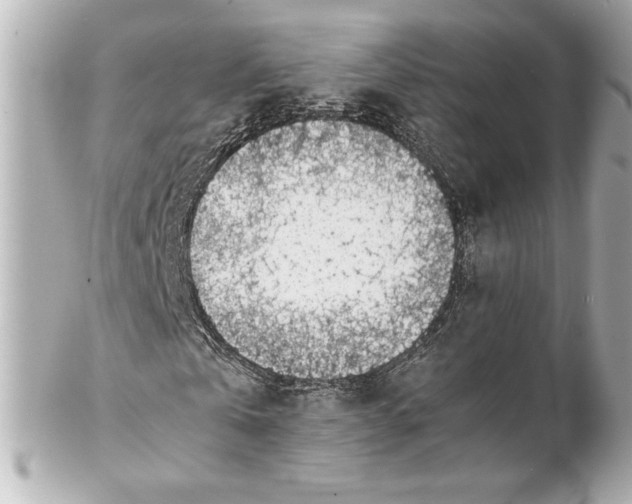 X0000102270769200808151904