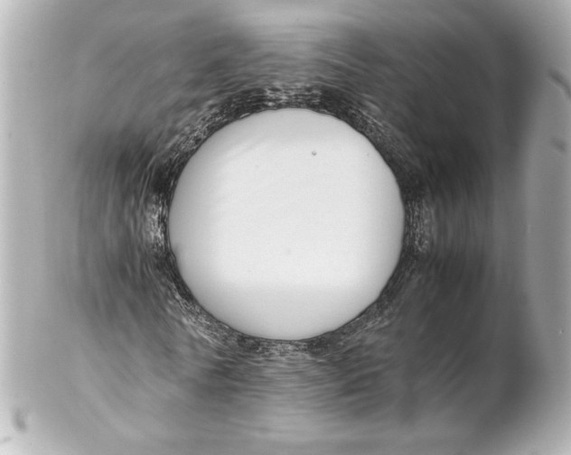 X0000102270770200808151903