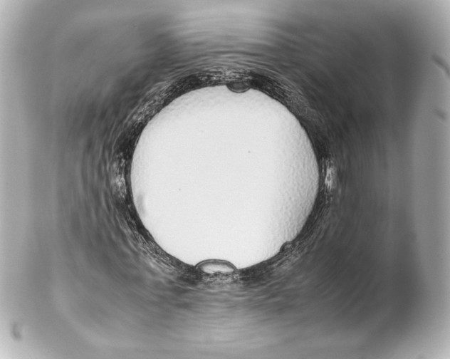 X0000102270771200808151903