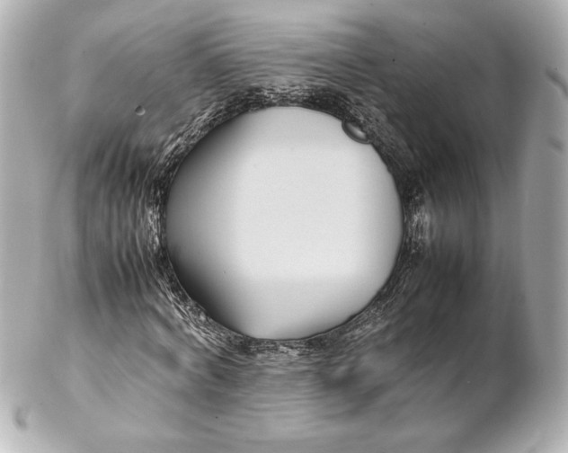 X0000102270772200808151903