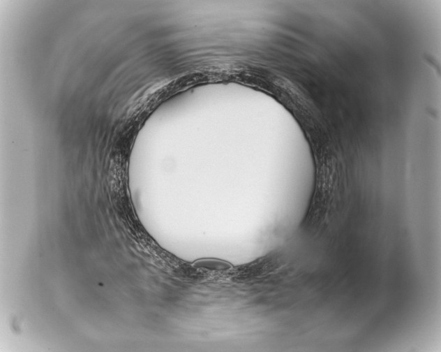 X0000102270773200808151903