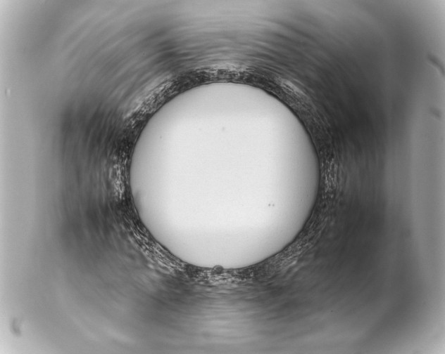 X0000102270774200808151903