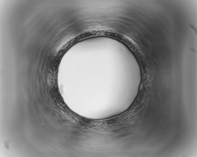 X0000102270775200808151903