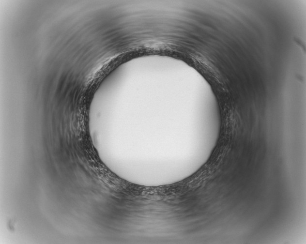 X0000102270776200808151903