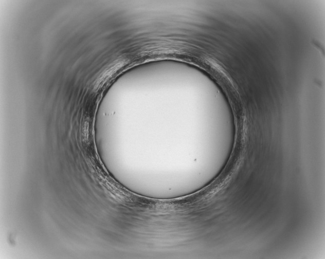 X0000102270777200808151903