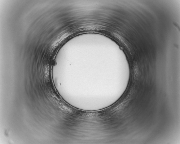 X0000102270778200808151903