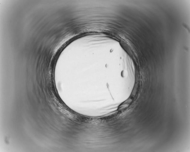 X0000102270779200808151903