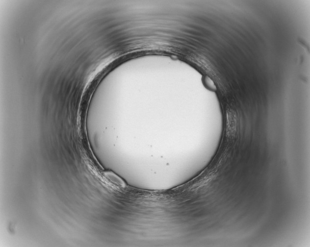 X0000102270780200808151903