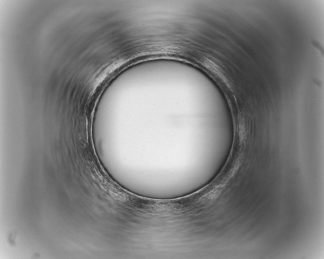 X0000102270781200808151903