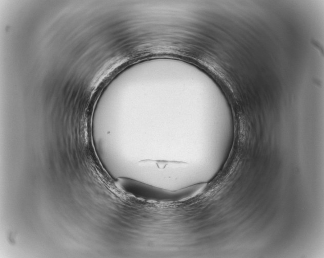 X0000102270782200808151903