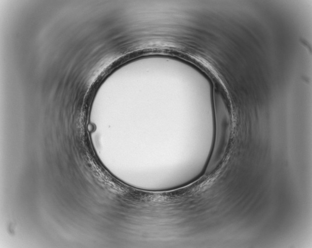 X0000102270783200808151903