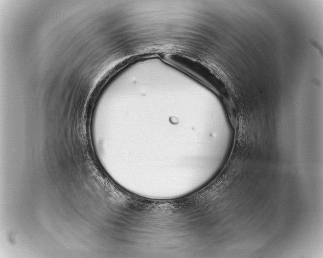 X0000102270784200808151903