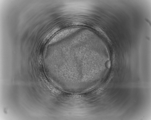 X0000102270785200808151903