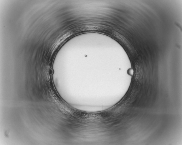 X0000102270786200808151903